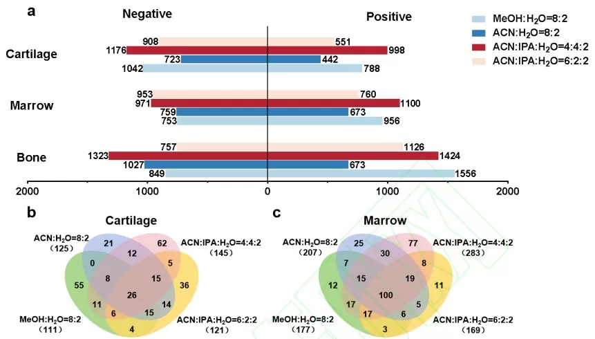 Metabolic and lipid coverage in rat knee cartilage and bone marrow